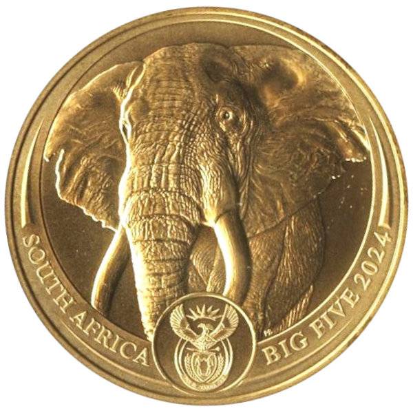 Bild von 1 oz Gold Südafrika Big Five - Elefant 2024