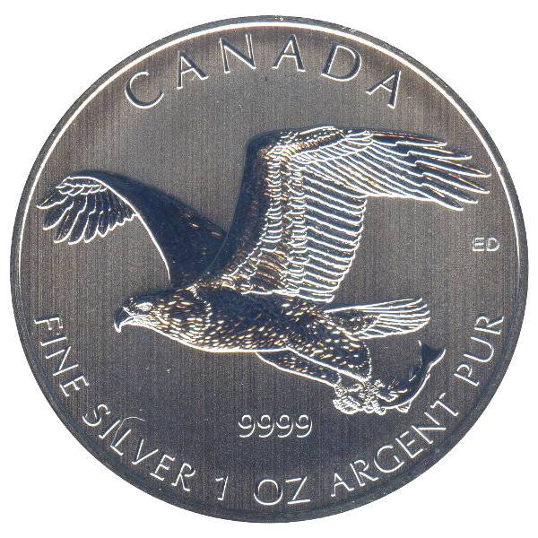 Bild von 1 oz Weißkopfseeadler Silber