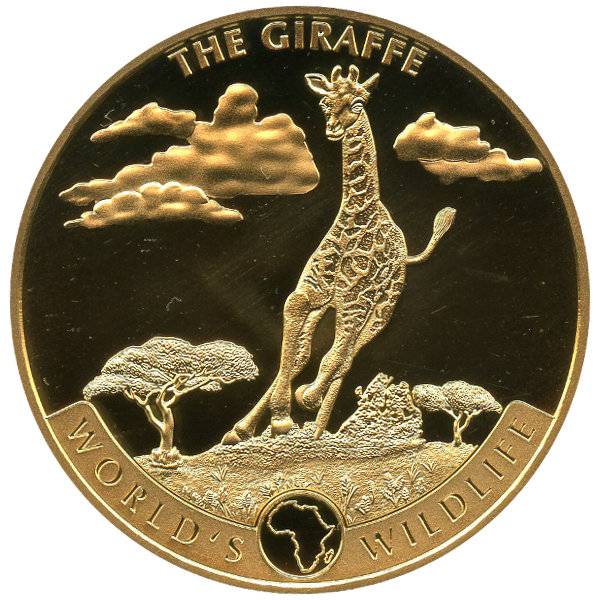 1 oz Gold Kongo World´s Wildlife - Giraffe 2019 Bild von 1 oz Gold Kongo World´s Wildlife - Giraffe 2019