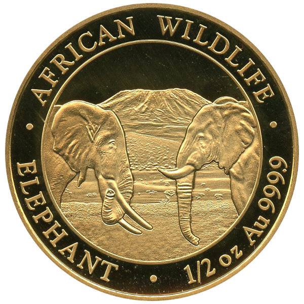 1/2 oz Somalia Elefant Gold - 2020 Bild von 1/2 oz Somalia Elefant Gold - 2020