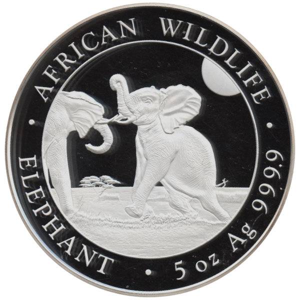 Bild von 5 oz Somalia Elefant Silber - 2024 - 19% MwST