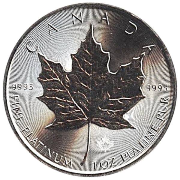 Bild von 1 oz Maple Leaf Platin - 2025