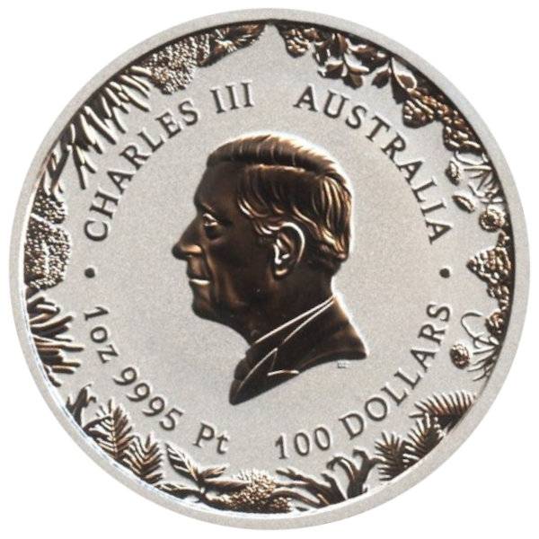 Bild von 1 oz Platinmünze Wonders of Australia - The Outback 2026