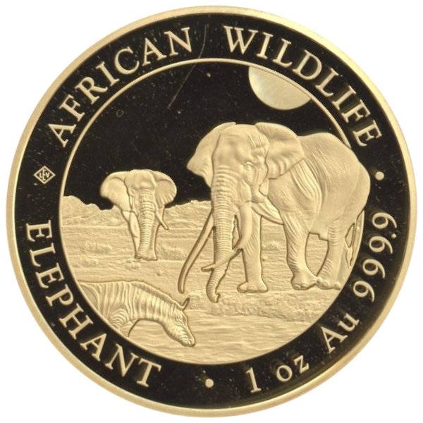 Bild von 1 oz Somalia Elefant Gold - 2026