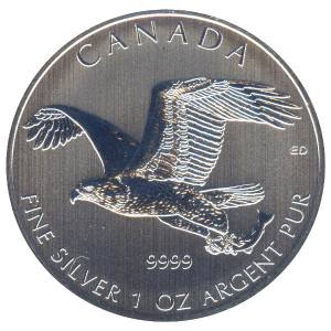 Bild von 1 oz Weißkopfseeadler Silber