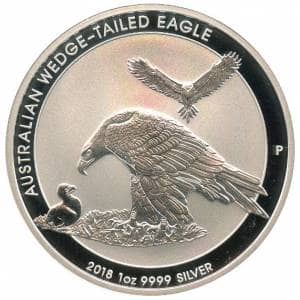 Bild von Wedge Tailed Eagle
