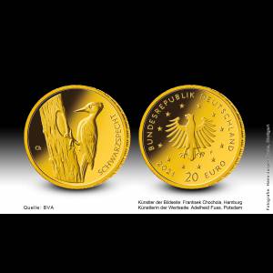 Bild von 20 Euro 2021 Heimische Vögel - Schwarzspecht - F