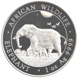 Bild von 1 oz Somalia Elefant Silber - 2022