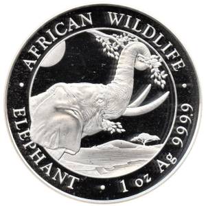 Bild von 1 oz Somalia Elefant Silber - 2023 - D