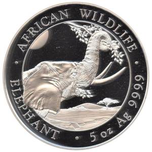 Bild von 5 oz Somalia Elefant Silber - 2023 - 19% MwST