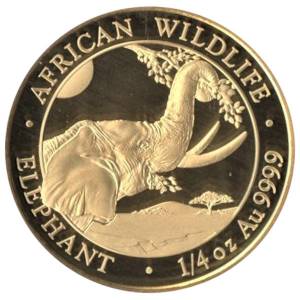 Bild von 1/4 oz Somalia Elefant Gold - 2023