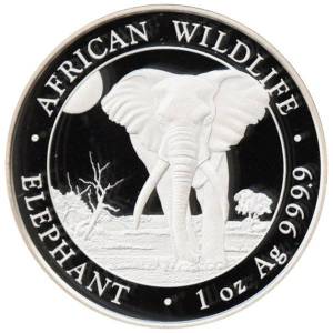 Bild von 1 oz Somalia Elefant Silber - 2025 - 19% MwST