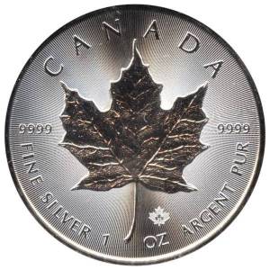Bild von 500 x 1 oz Maple Leaf Silber - 2026 - Masterbox