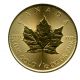 Bild 1 von 1/2 oz Maple Leaf Gold - 2017