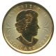 Bild 2 von 1/10 oz Maple Leaf Gold - 2018
