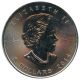 2 1 oz Maple Leaf Silber - 2014 Bild 2 von 1 oz Maple Leaf Silber - 2014