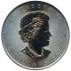 Bild 2 von 1 oz Maple Leaf Silber - 2020