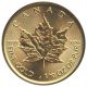 Bild 1 von 1/10 oz Maple Leaf Gold - 2022