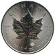 Bild 1 von 1 oz Maple Leaf Silber - diverse