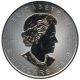 Bild 2 von 1 oz Maple Leaf Silber - diverse
