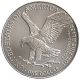 Bild 1 von 1 oz American Eagle Silber - 2025 - 19 % MwST