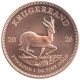 Bild 1 von 1 oz Krügerrand Gold - 2026