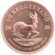 Bild 2 von 1/2 oz Krügerrand Gold - 2026